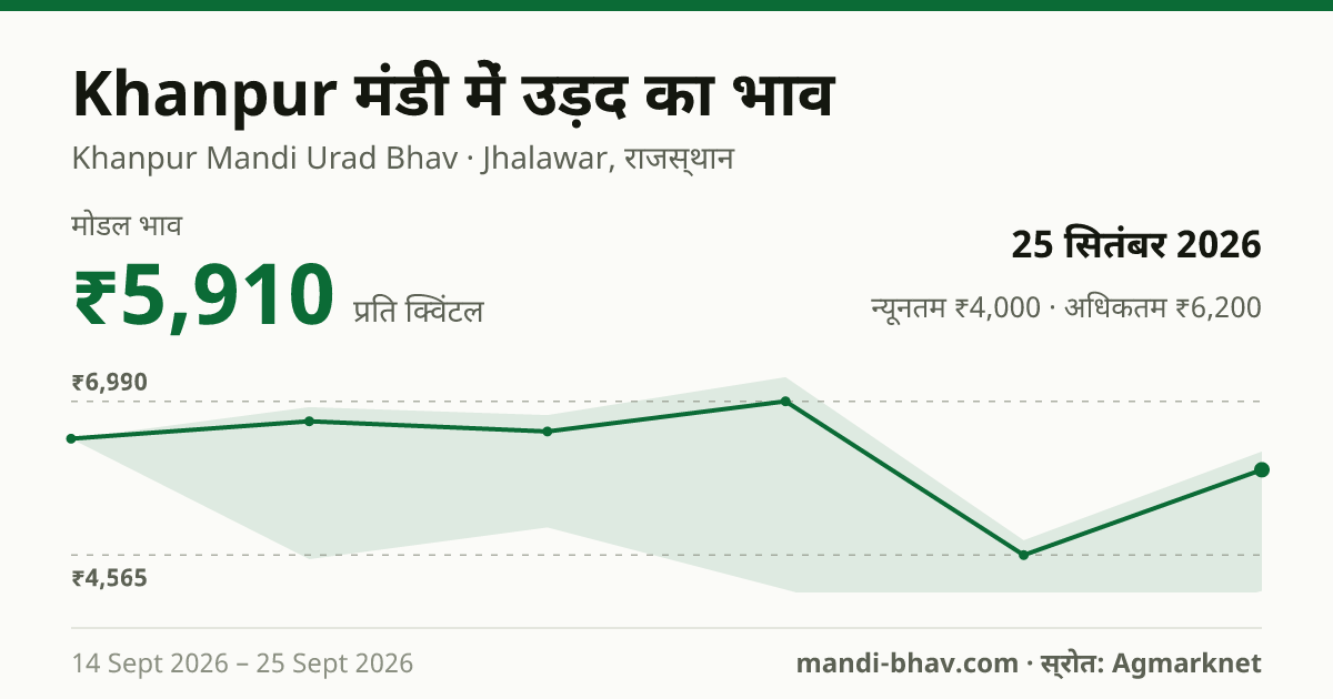 Khanpur मंडी में उड़द का भाव 25 सितंबर 2026: मोडल ₹5,910 प्रति क्विंटल, भाव के रुझान का चार्ट