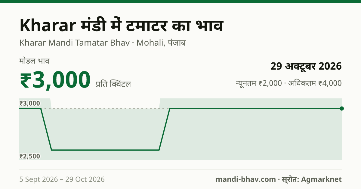 Kharar मंडी में टमाटर का भाव 29 अक्टूबर 2026: मोडल ₹3,000 प्रति क्विंटल, भाव के रुझान का चार्ट