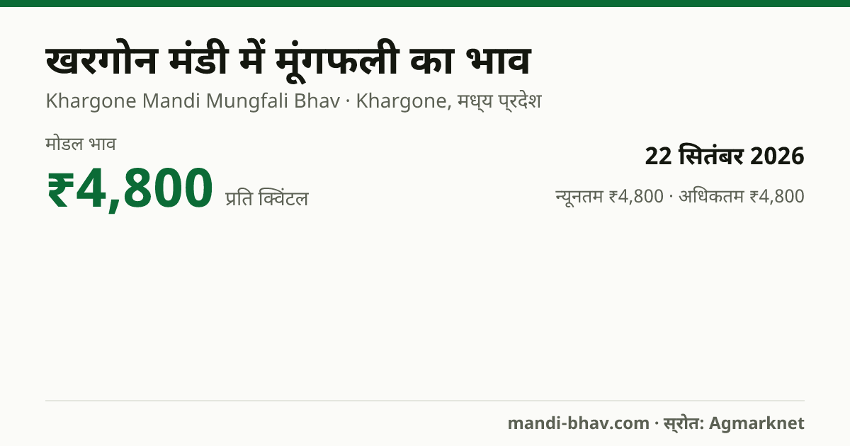 खरगोन मंडी में मूंगफली का भाव 22 सितंबर 2026: मोडल ₹4,800 प्रति क्विंटल, भाव के रुझान का चार्ट