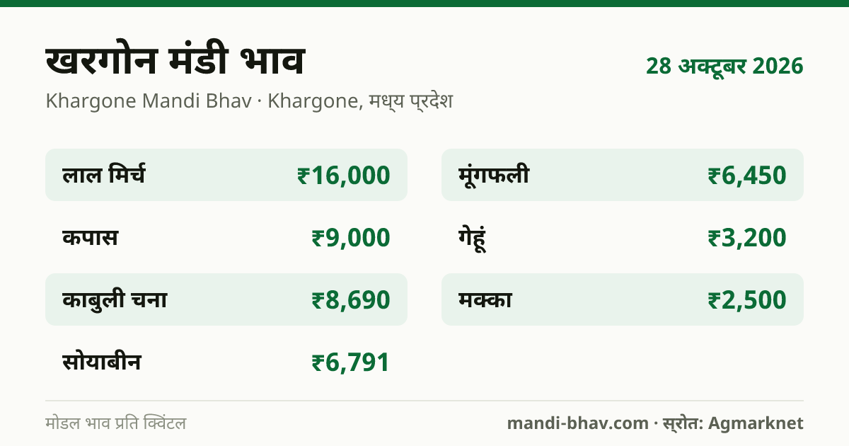 खरगोन मंडी भाव 28 अक्टूबर 2026: फसलवार मोडल रेट प्रति क्विंटल
