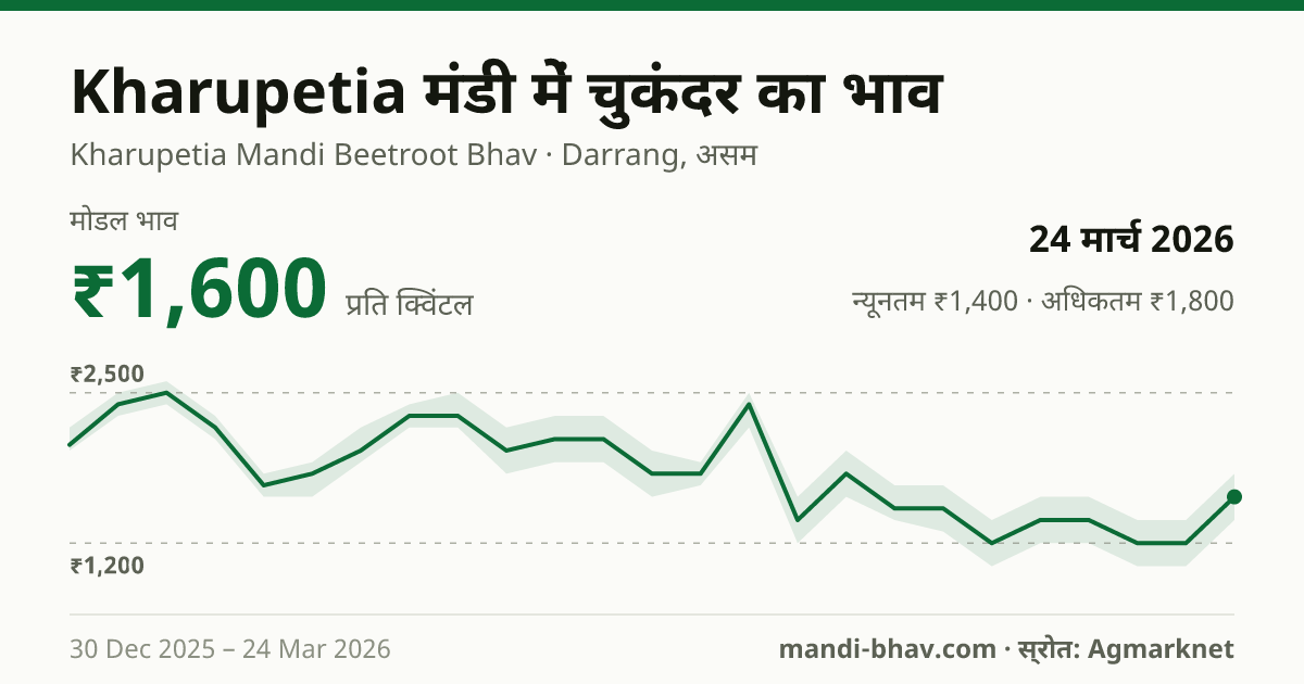 Kharupetia मंडी में चुकंदर का भाव 24 मार्च 2026: मोडल ₹1,600 प्रति क्विंटल, भाव के रुझान का चार्ट