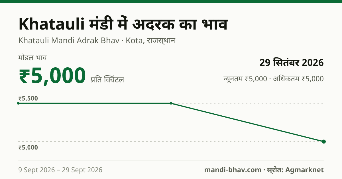 Khatauli मंडी में अदरक का भाव 29 सितंबर 2026: मोडल ₹5,000 प्रति क्विंटल, भाव के रुझान का चार्ट