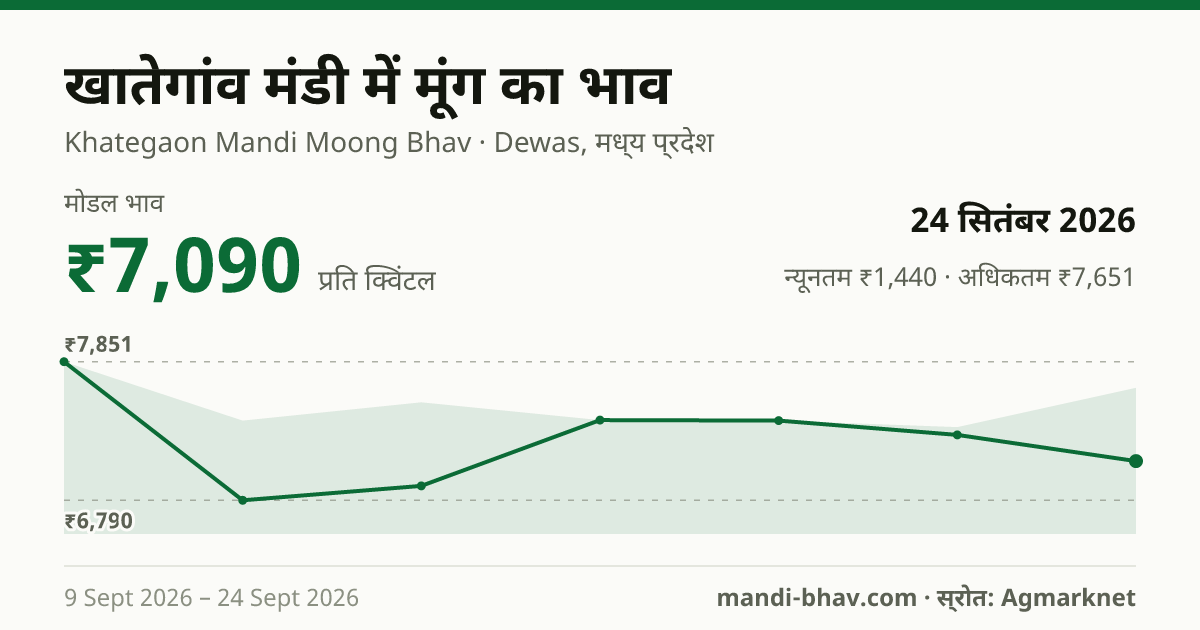 खातेगांव मंडी में मूंग का भाव 24 सितंबर 2026: मोडल ₹7,090 प्रति क्विंटल, भाव के रुझान का चार्ट