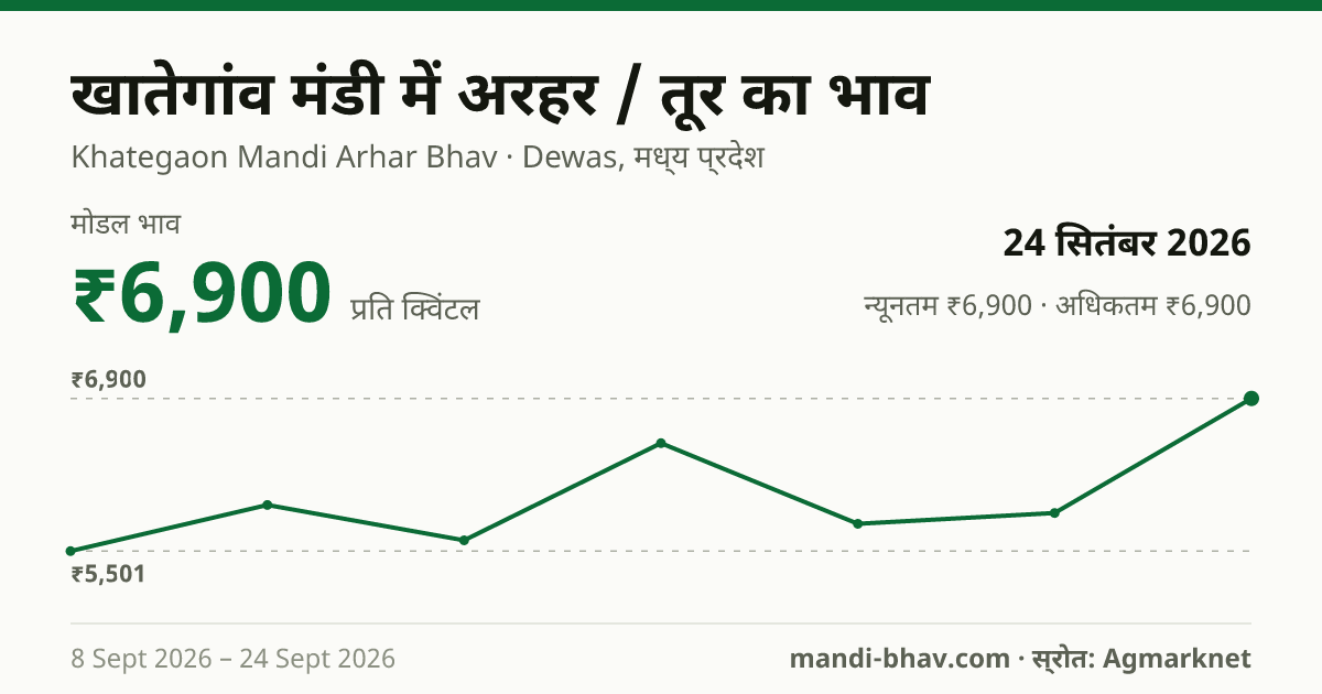 खातेगांव मंडी में अरहर / तूर का भाव 24 सितंबर 2026: मोडल ₹6,900 प्रति क्विंटल, भाव के रुझान का चार्ट