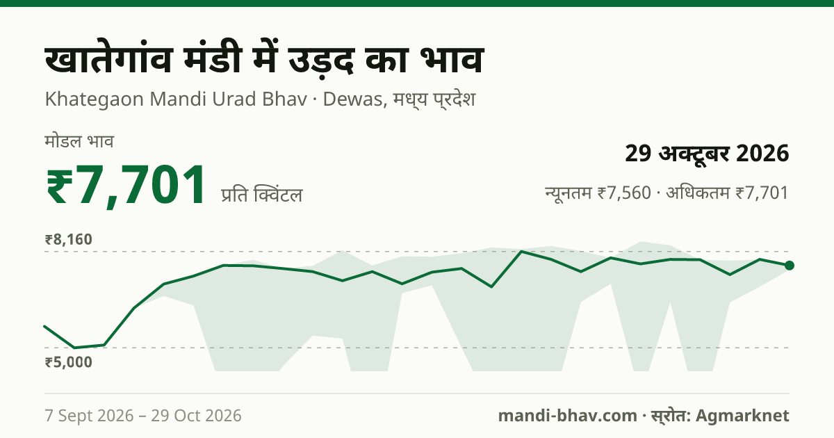 खातेगांव मंडी में उड़द का भाव 29 अक्टूबर 2026: मोडल ₹7,701 प्रति क्विंटल, भाव के रुझान का चार्ट