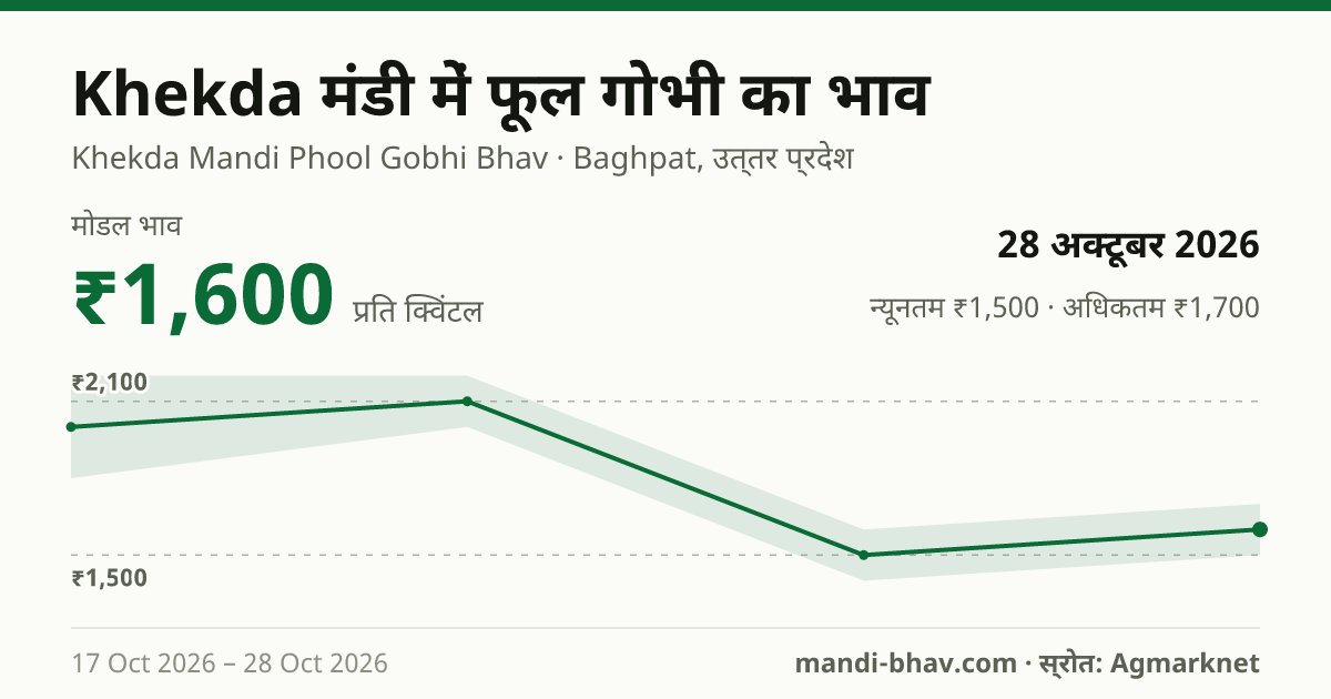 Khekda मंडी में फूल गोभी का भाव 28 अक्टूबर 2026: मोडल ₹1,600 प्रति क्विंटल, भाव के रुझान का चार्ट