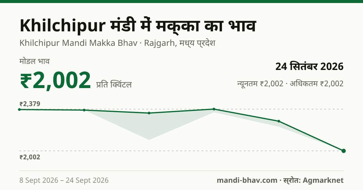 Khilchipur मंडी में मक्का का भाव 24 सितंबर 2026: मोडल ₹2,002 प्रति क्विंटल, भाव के रुझान का चार्ट