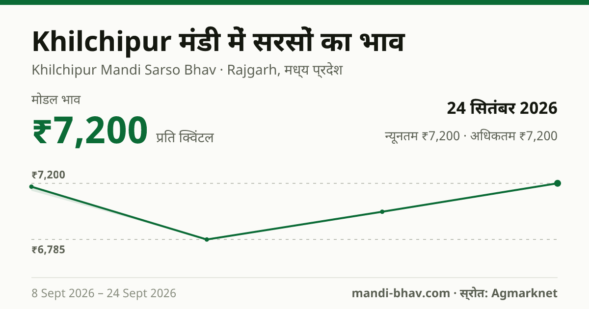 Khilchipur मंडी में सरसों का भाव 24 सितंबर 2026: मोडल ₹7,200 प्रति क्विंटल, भाव के रुझान का चार्ट