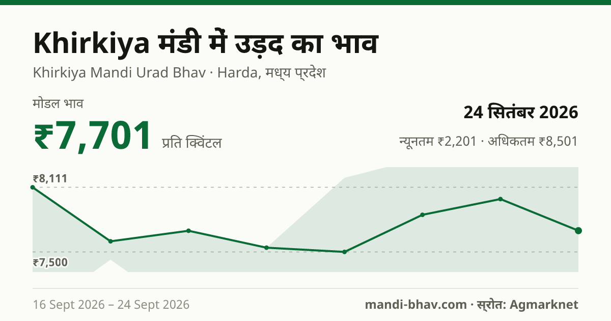 Khirkiya मंडी में उड़द का भाव 24 सितंबर 2026: मोडल ₹7,701 प्रति क्विंटल, भाव के रुझान का चार्ट
