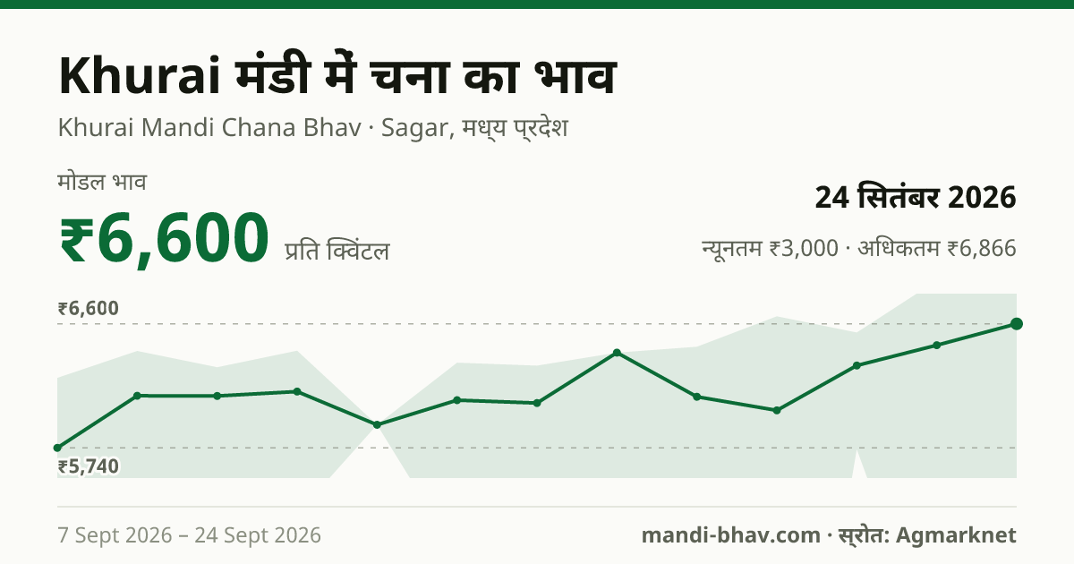 Khurai मंडी में चना का भाव 24 सितंबर 2026: मोडल ₹6,600 प्रति क्विंटल, भाव के रुझान का चार्ट