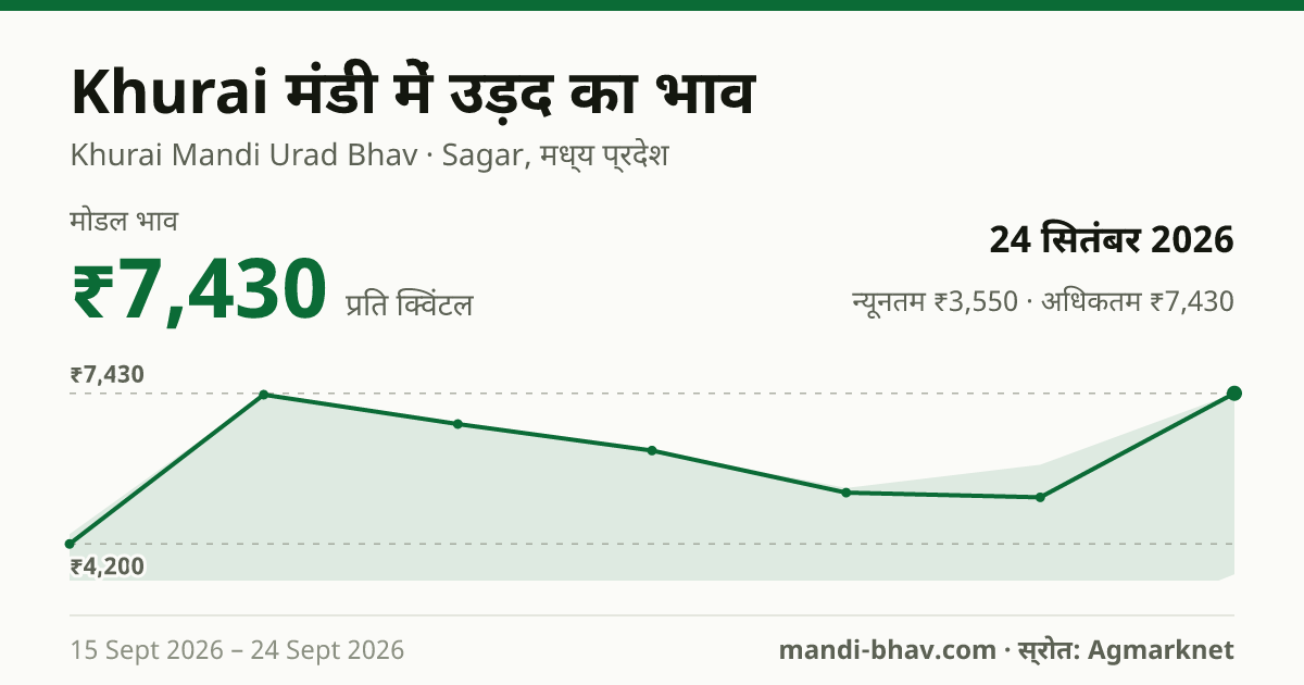 Khurai मंडी में उड़द का भाव 24 सितंबर 2026: मोडल ₹7,430 प्रति क्विंटल, भाव के रुझान का चार्ट
