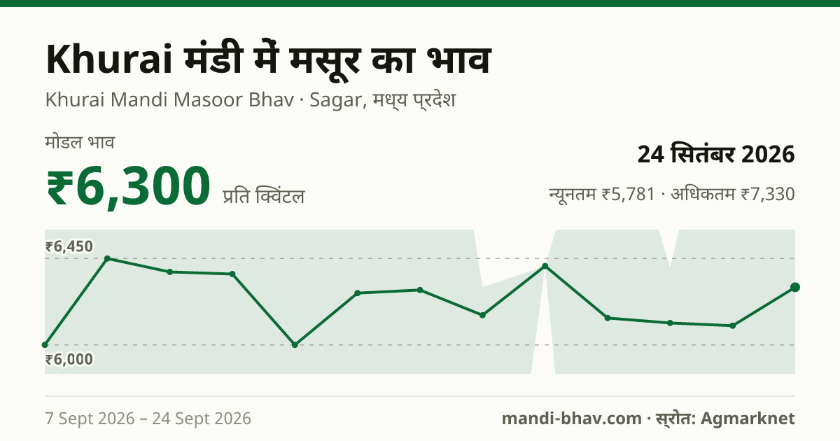 Khurai मंडी में मसूर का भाव 24 सितंबर 2026: मोडल ₹6,300 प्रति क्विंटल, भाव के रुझान का चार्ट