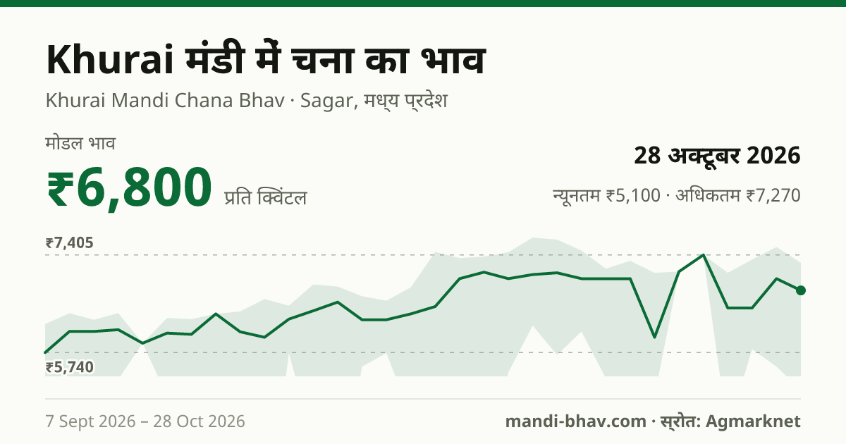 Khurai मंडी में चना का भाव 28 अक्टूबर 2026: मोडल ₹6,800 प्रति क्विंटल, भाव के रुझान का चार्ट