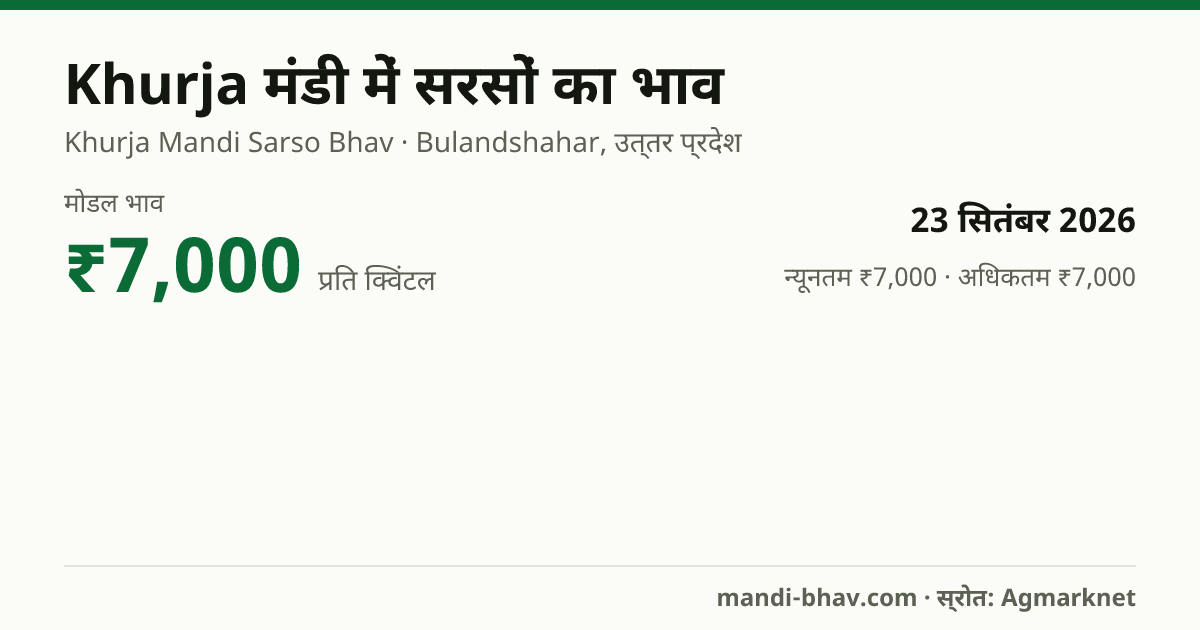 Khurja मंडी में सरसों का भाव 23 सितंबर 2026: मोडल ₹7,000 प्रति क्विंटल, भाव के रुझान का चार्ट