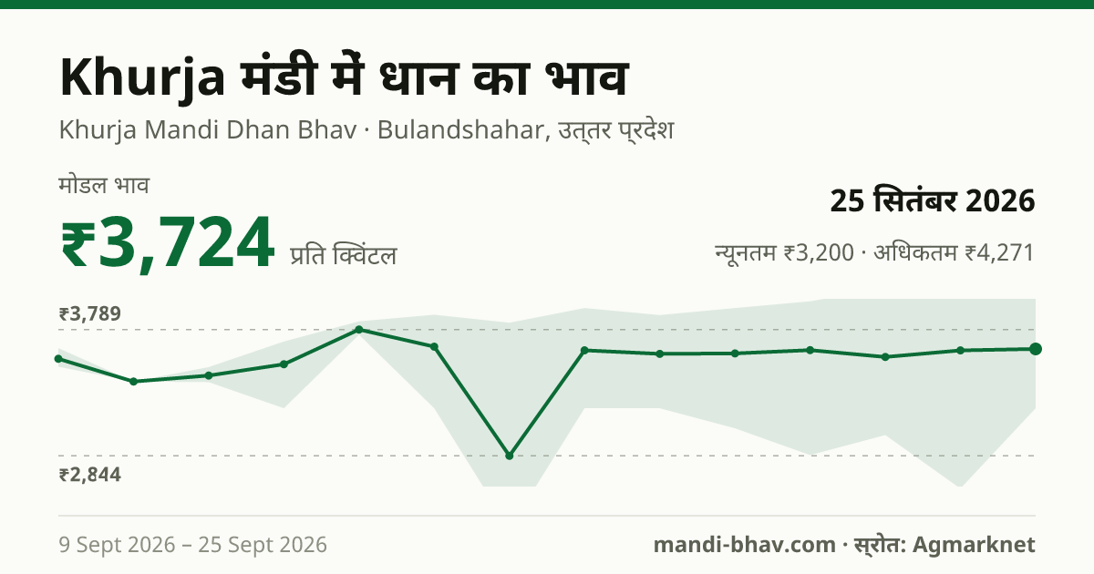 Khurja मंडी में धान का भाव 25 सितंबर 2026: मोडल ₹3,724 प्रति क्विंटल, भाव के रुझान का चार्ट