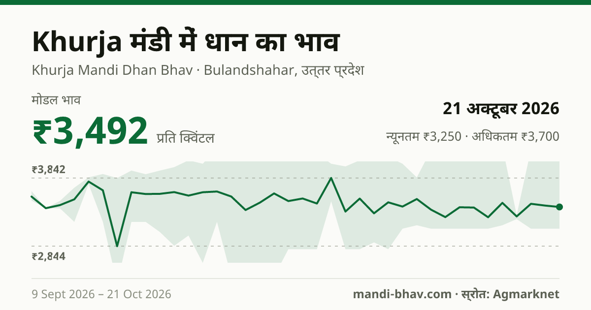 Khurja मंडी में धान का भाव 21 अक्टूबर 2026: मोडल ₹3,492 प्रति क्विंटल, भाव के रुझान का चार्ट