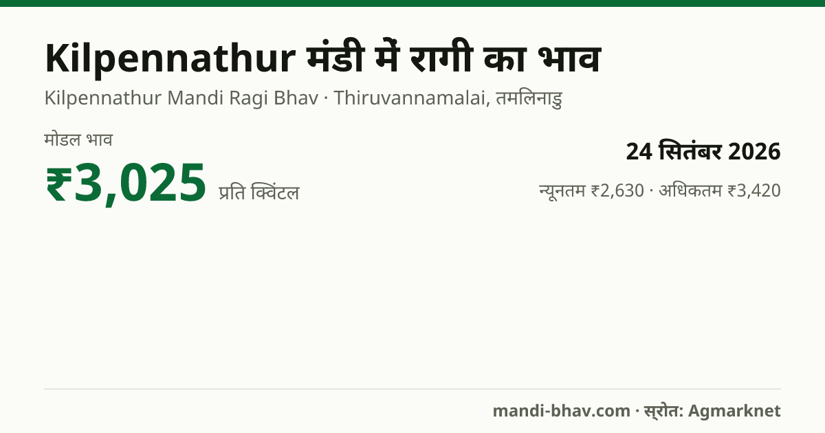 Kilpennathur मंडी में रागी का भाव 24 सितंबर 2026: मोडल ₹3,025 प्रति क्विंटल, भाव के रुझान का चार्ट