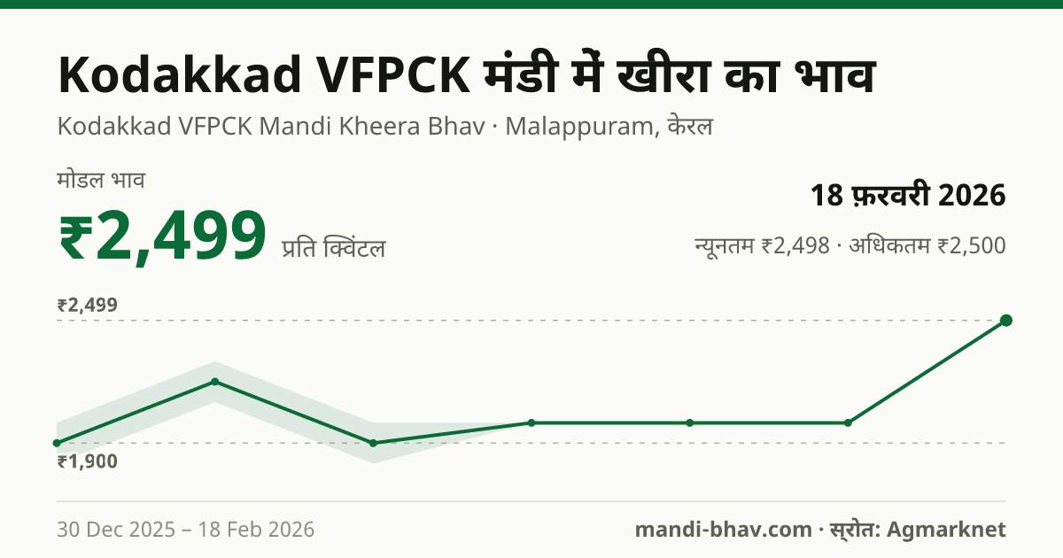 Kodakkad VFPCK मंडी में खीरा का भाव 18 फ़रवरी 2026: मोडल ₹2,499 प्रति क्विंटल, भाव के रुझान का चार्ट