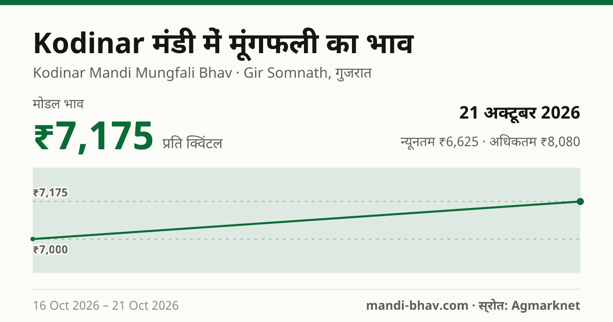 Kodinar मंडी में मूंगफली का भाव 21 अक्टूबर 2026: मोडल ₹7,175 प्रति क्विंटल, भाव के रुझान का चार्ट