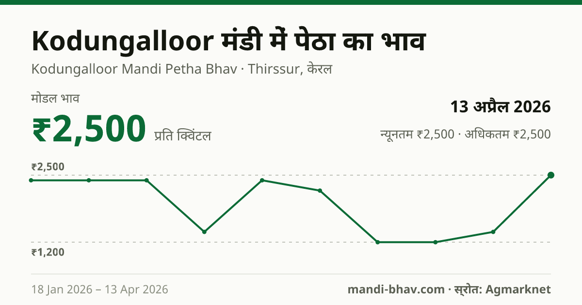 Kodungalloor मंडी में पेठा का भाव 13 अप्रैल 2026: मोडल ₹2,500 प्रति क्विंटल, भाव के रुझान का चार्ट
