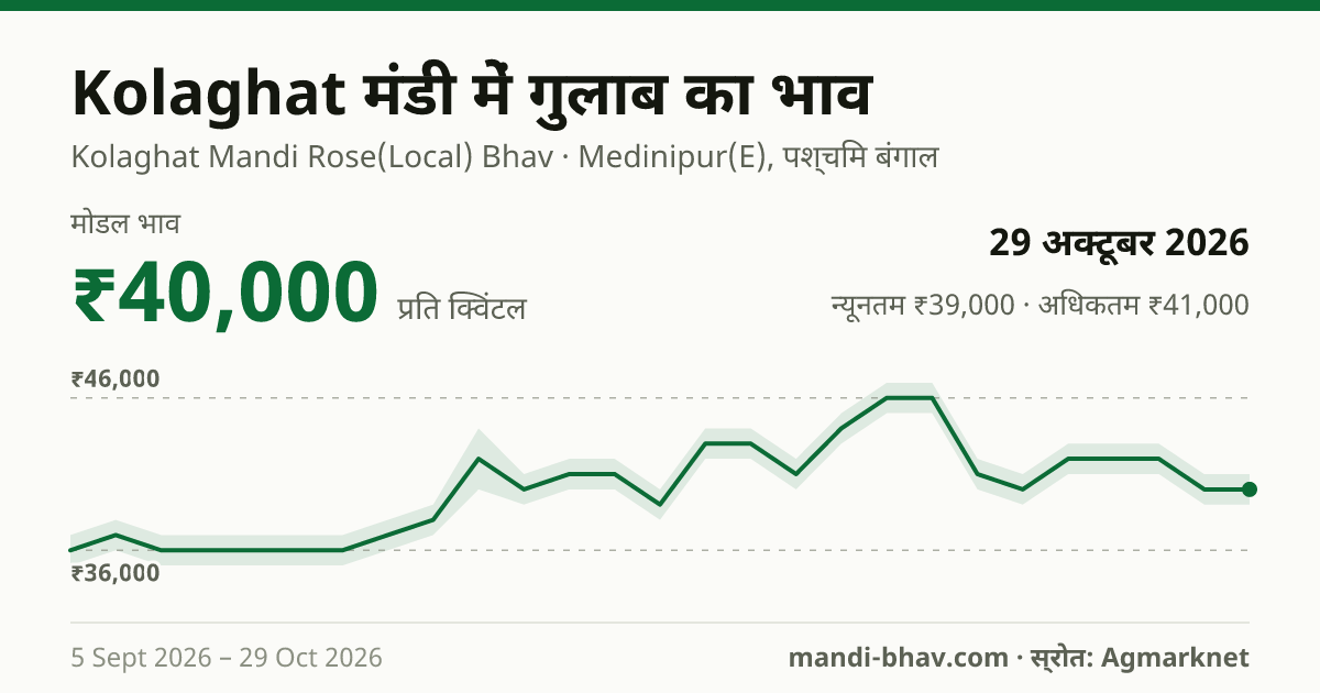Kolaghat मंडी में गुलाब का भाव 29 अक्टूबर 2026: मोडल ₹40,000 प्रति क्विंटल, भाव के रुझान का चार्ट