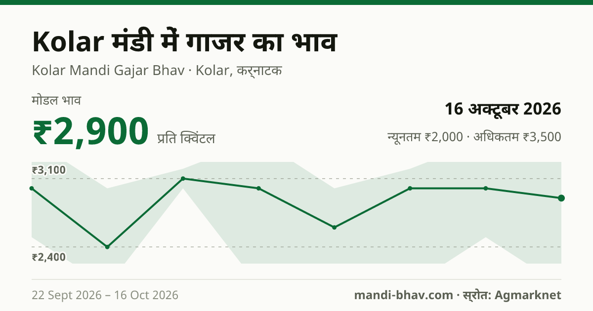 Kolar मंडी में गाजर का भाव 16 अक्टूबर 2026: मोडल ₹2,900 प्रति क्विंटल, भाव के रुझान का चार्ट