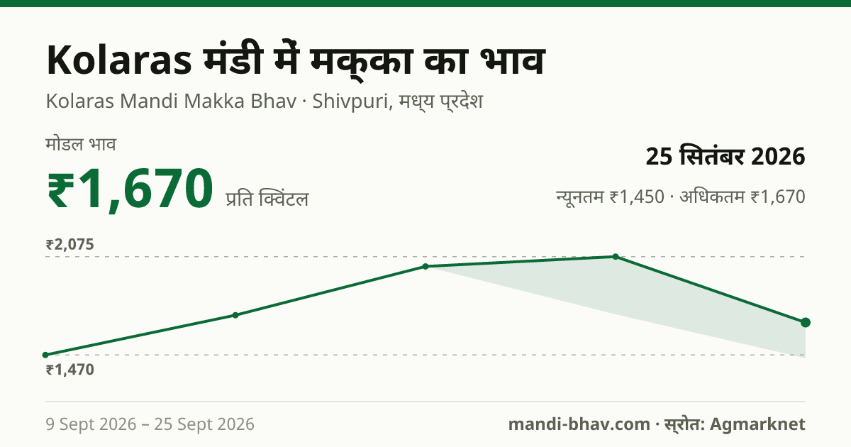 Kolaras मंडी में मक्का का भाव 25 सितंबर 2026: मोडल ₹1,670 प्रति क्विंटल, भाव के रुझान का चार्ट