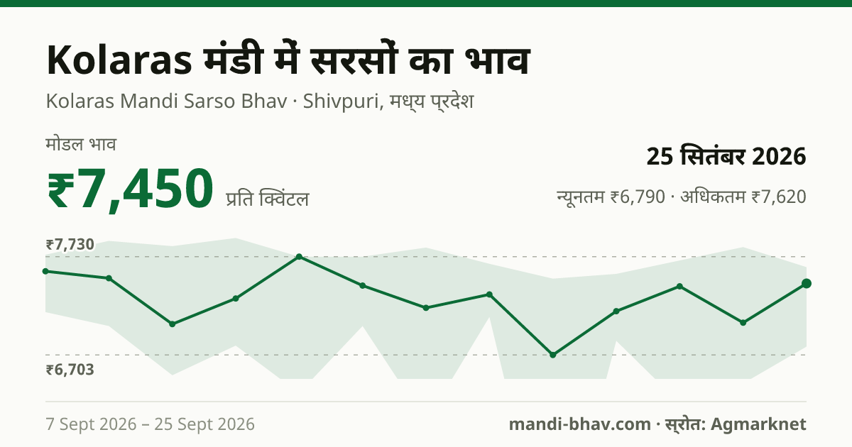 Kolaras मंडी में सरसों का भाव 25 सितंबर 2026: मोडल ₹7,450 प्रति क्विंटल, भाव के रुझान का चार्ट