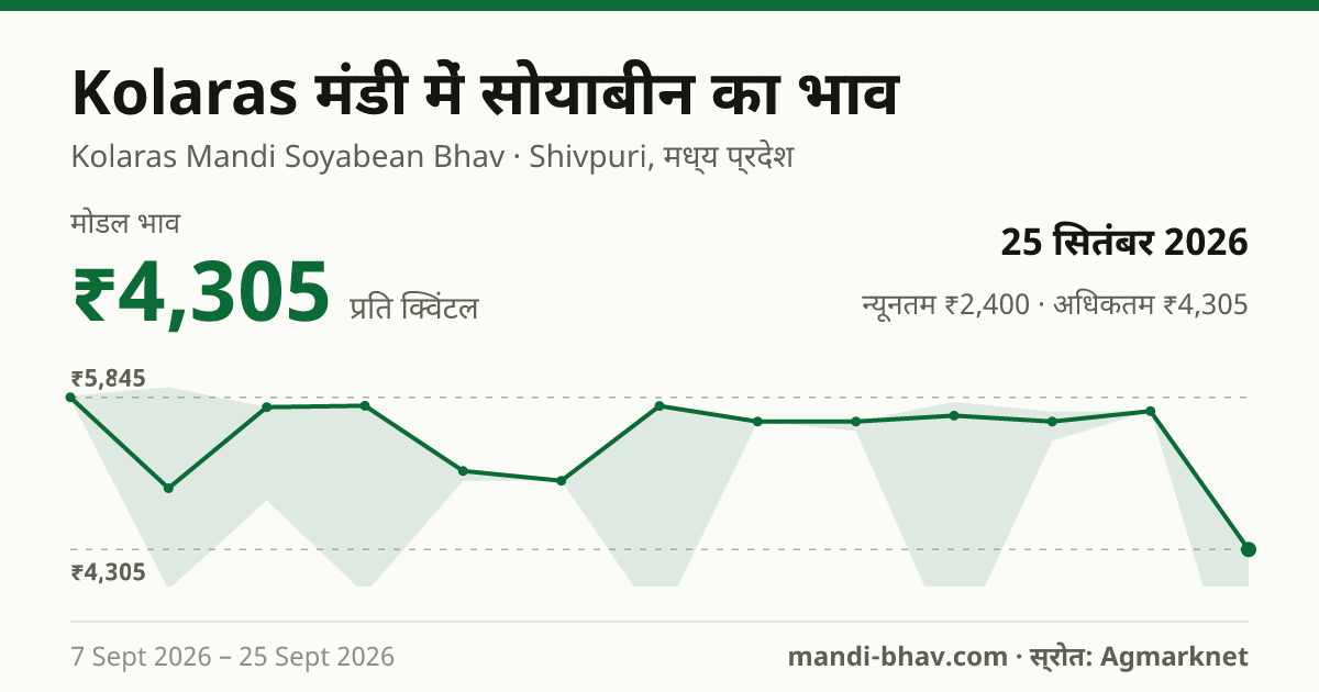 Kolaras मंडी में सोयाबीन का भाव 25 सितंबर 2026: मोडल ₹4,305 प्रति क्विंटल, भाव के रुझान का चार्ट