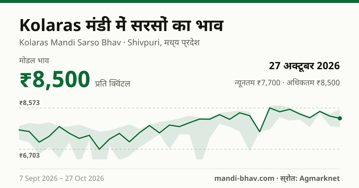 Kolaras मंडी में सरसों का भाव 27 अक्टूबर 2026: मोडल ₹8,500 प्रति क्विंटल, भाव के रुझान का चार्ट