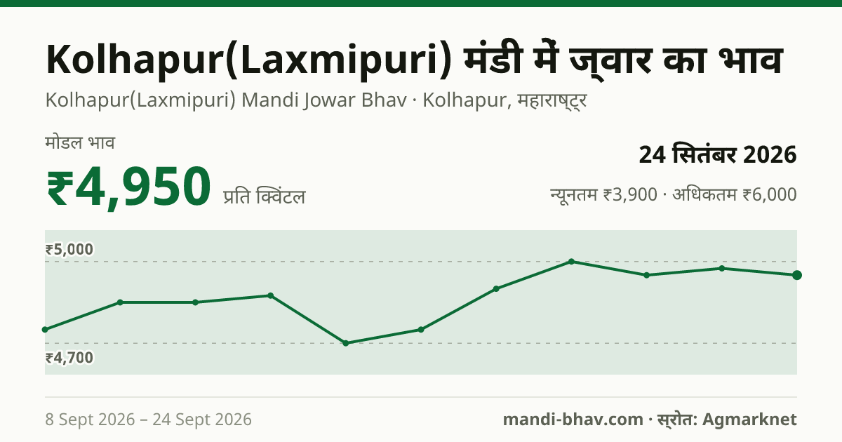 Kolhapur(Laxmipuri) मंडी में ज्वार का भाव 24 सितंबर 2026: मोडल ₹4,950 प्रति क्विंटल, भाव के रुझान का चार्ट