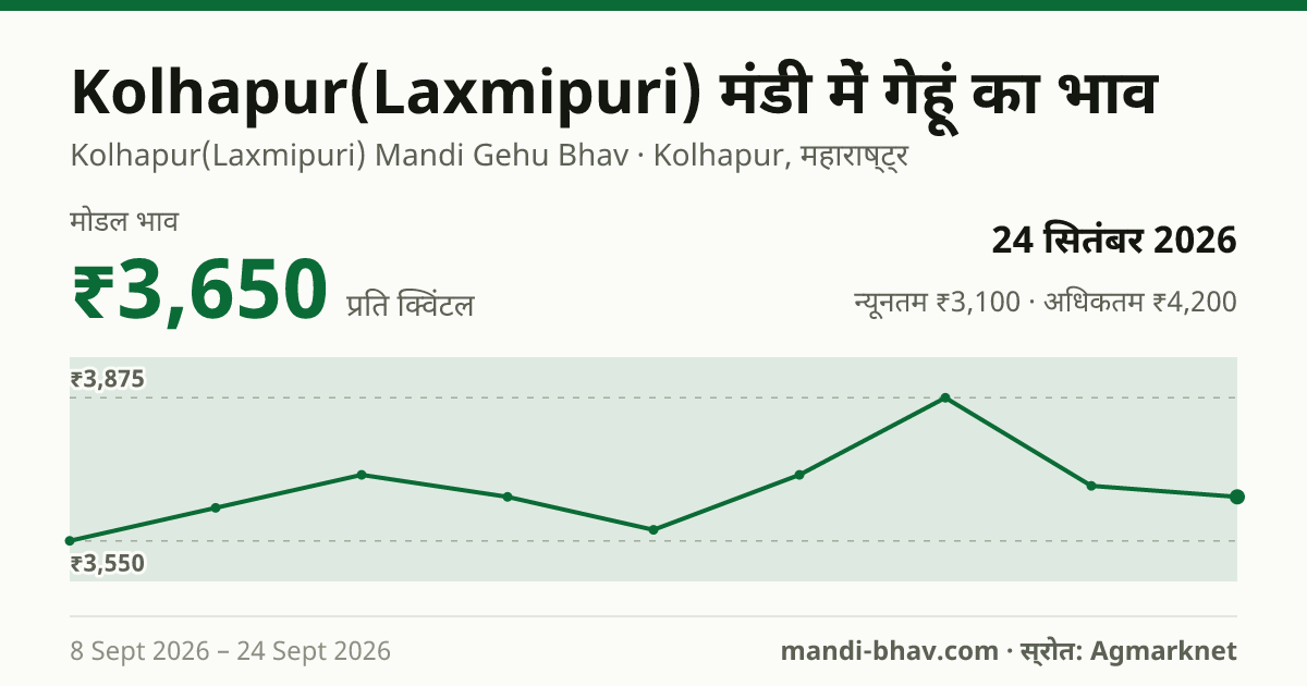 Kolhapur(Laxmipuri) मंडी में गेहूं का भाव 24 सितंबर 2026: मोडल ₹3,650 प्रति क्विंटल, भाव के रुझान का चार्ट