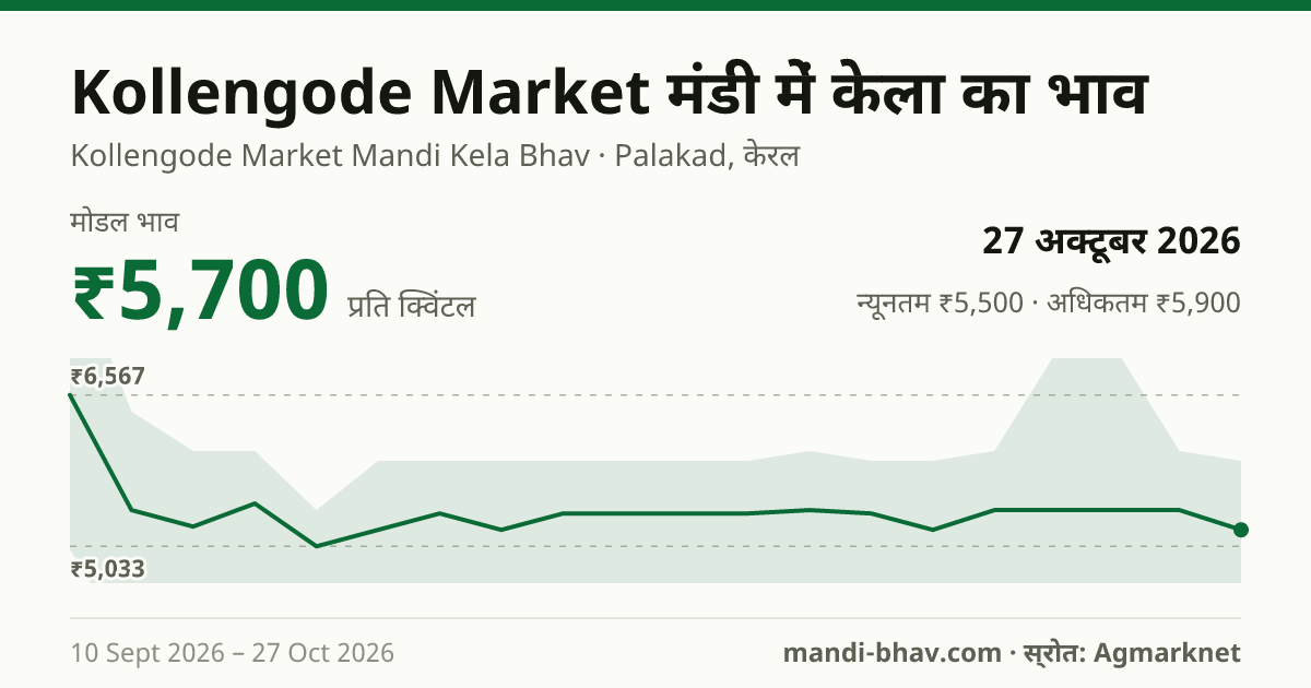Kollengode Market मंडी में केला का भाव 27 अक्टूबर 2026: मोडल ₹5,700 प्रति क्विंटल, भाव के रुझान का चार्ट