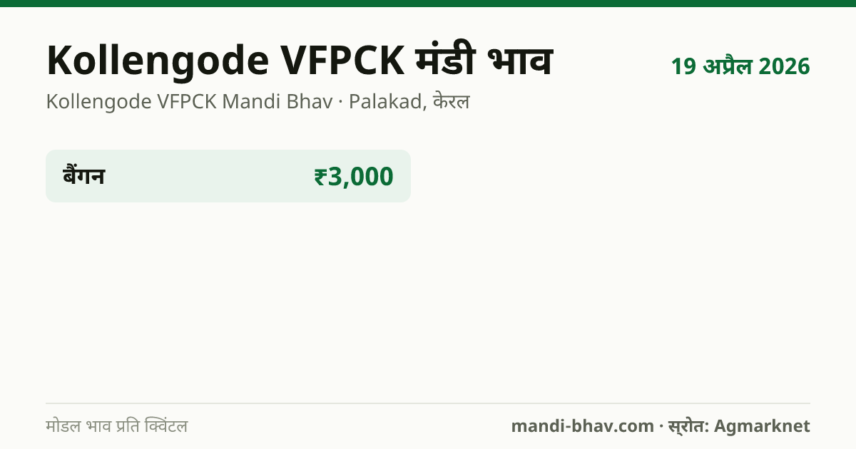 Kollengode VFPCK मंडी भाव 19 अप्रैल 2026: फसलवार मोडल रेट प्रति क्विंटल