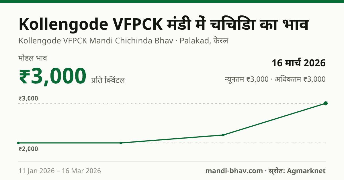 Kollengode VFPCK मंडी में चिचिंडा का भाव 16 मार्च 2026: मोडल ₹3,000 प्रति क्विंटल, भाव के रुझान का चार्ट