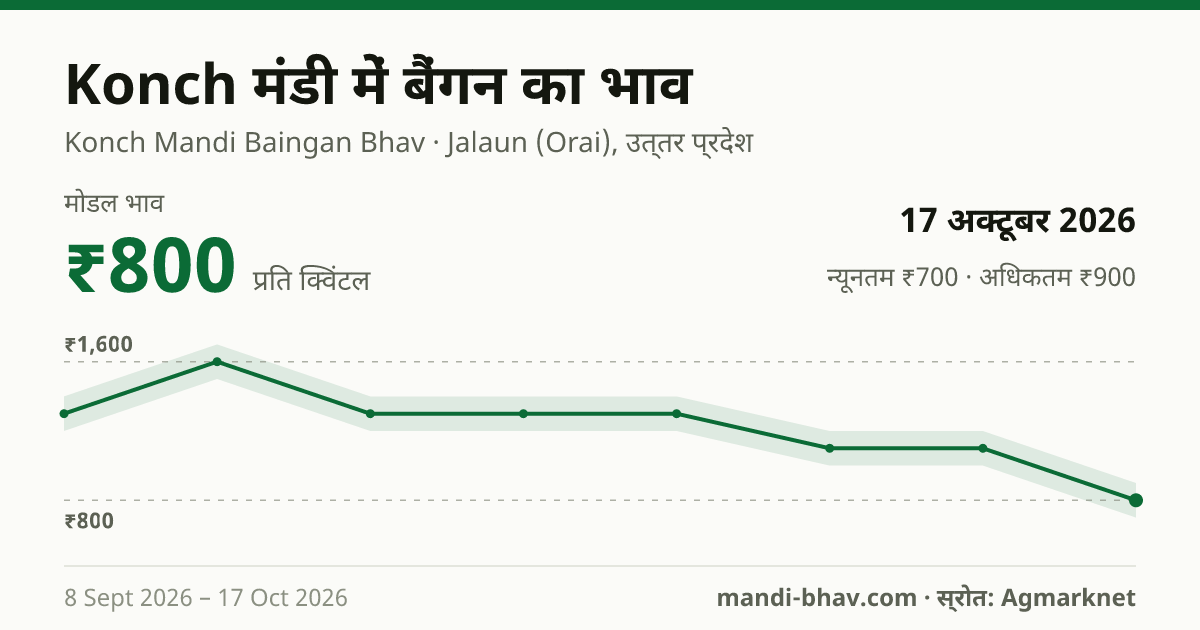 Konch मंडी में बैंगन का भाव 17 अक्टूबर 2026: मोडल ₹800 प्रति क्विंटल, भाव के रुझान का चार्ट