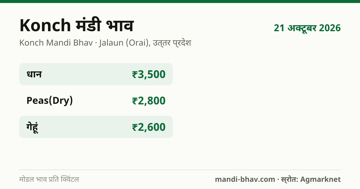 Konch मंडी भाव 21 अक्टूबर 2026: फसलवार मोडल रेट प्रति क्विंटल