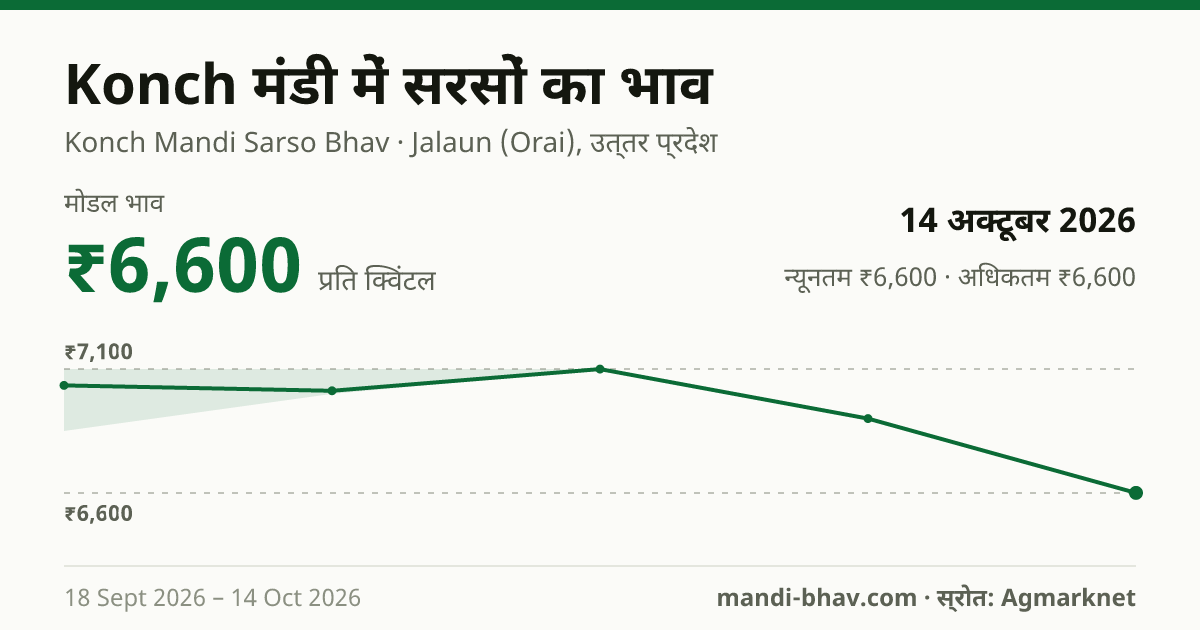 Konch मंडी में सरसों का भाव 14 अक्टूबर 2026: मोडल ₹6,600 प्रति क्विंटल, भाव के रुझान का चार्ट