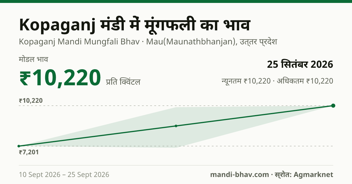 Kopaganj मंडी में मूंगफली का भाव 25 सितंबर 2026: मोडल ₹10,220 प्रति क्विंटल, भाव के रुझान का चार्ट