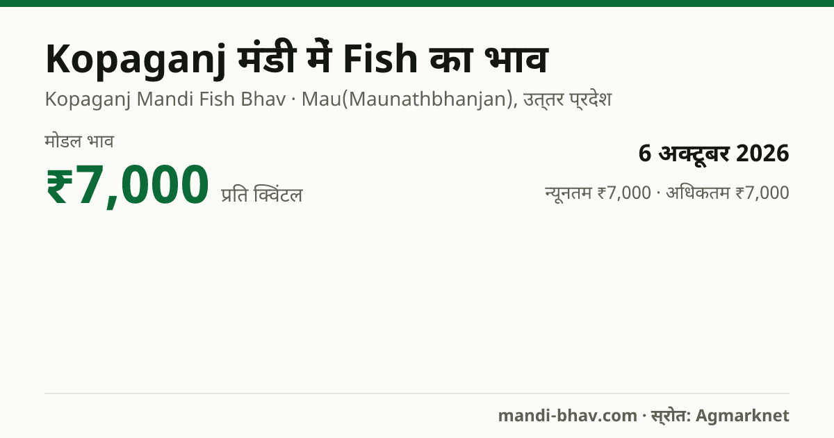 Kopaganj मंडी में Fish का भाव 6 अक्टूबर 2026: मोडल ₹7,000 प्रति क्विंटल, भाव के रुझान का चार्ट