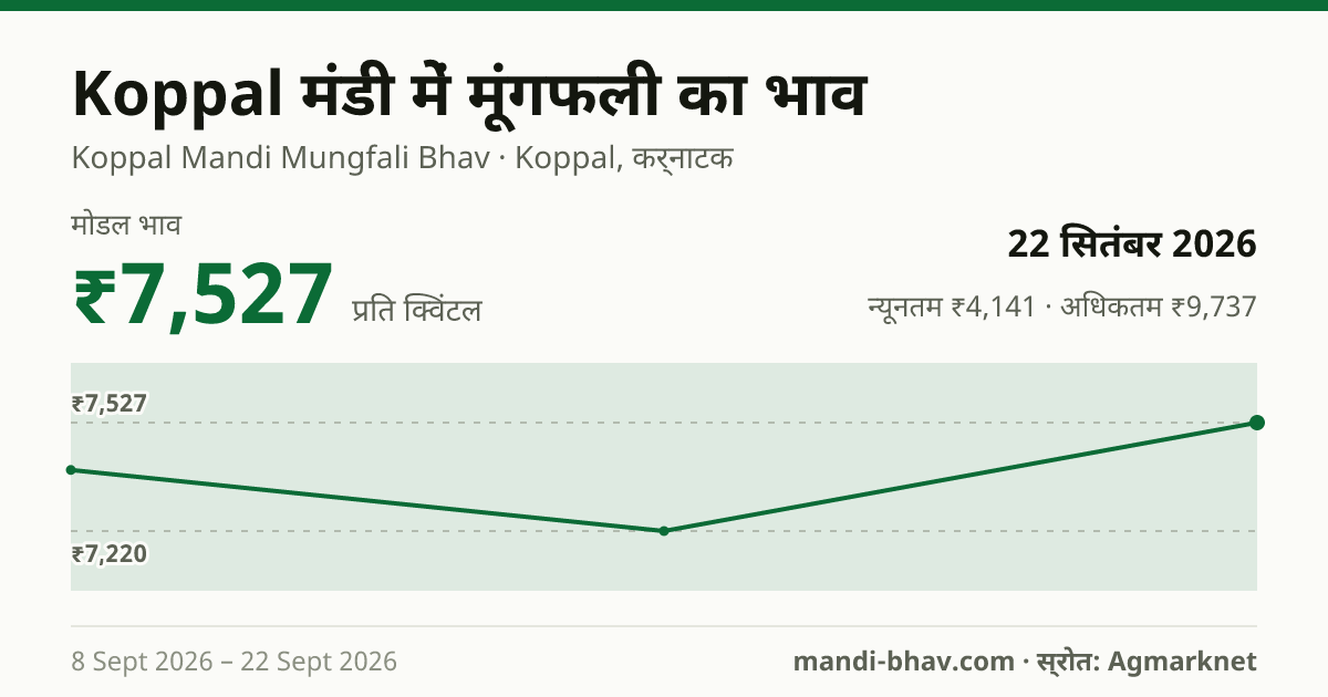 Koppal मंडी में मूंगफली का भाव 22 सितंबर 2026: मोडल ₹7,527 प्रति क्विंटल, भाव के रुझान का चार्ट
