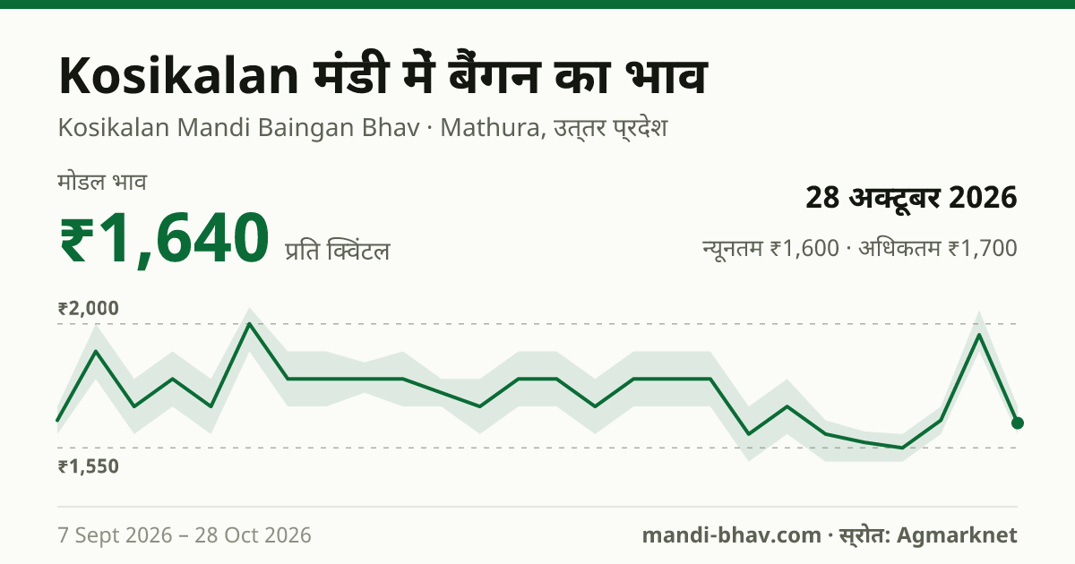 Kosikalan मंडी में बैंगन का भाव 28 अक्टूबर 2026: मोडल ₹1,640 प्रति क्विंटल, भाव के रुझान का चार्ट