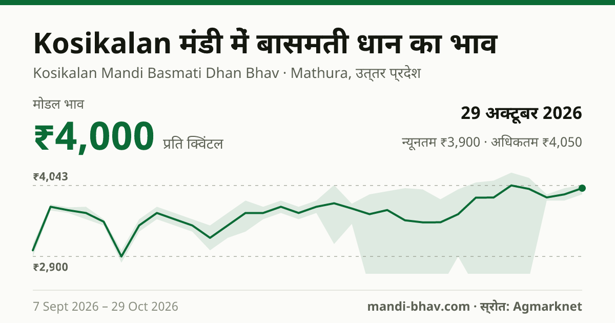 Kosikalan मंडी में Paddy(Basmati) का भाव 29 अक्टूबर 2026: मोडल ₹4,000 प्रति क्विंटल, भाव के रुझान का चार्ट