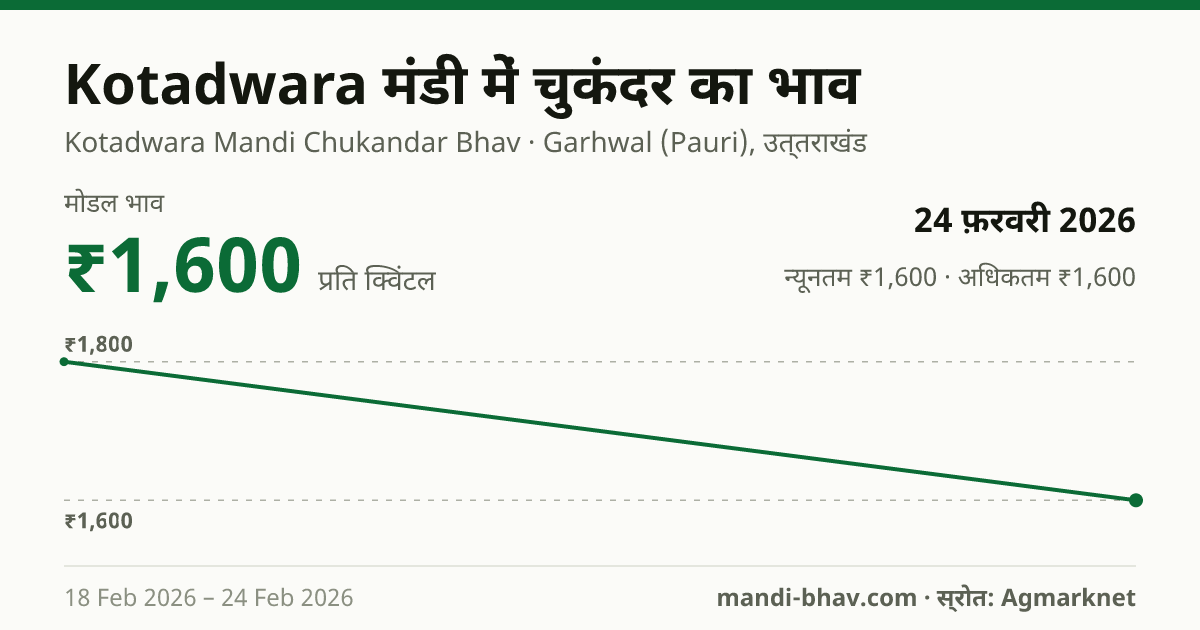 Kotadwara मंडी में चुकंदर का भाव 24 फ़रवरी 2026: मोडल ₹1,600 प्रति क्विंटल, भाव के रुझान का चार्ट