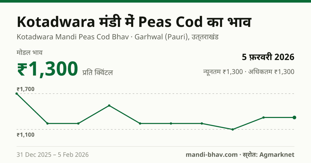 Kotadwara मंडी में Peas Cod का भाव 5 फ़रवरी 2026: मोडल ₹1,300 प्रति क्विंटल, भाव के रुझान का चार्ट