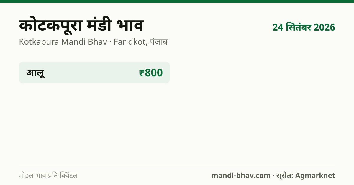 कोटकपूरा मंडी भाव 24 सितंबर 2026: फसलवार मोडल रेट प्रति क्विंटल