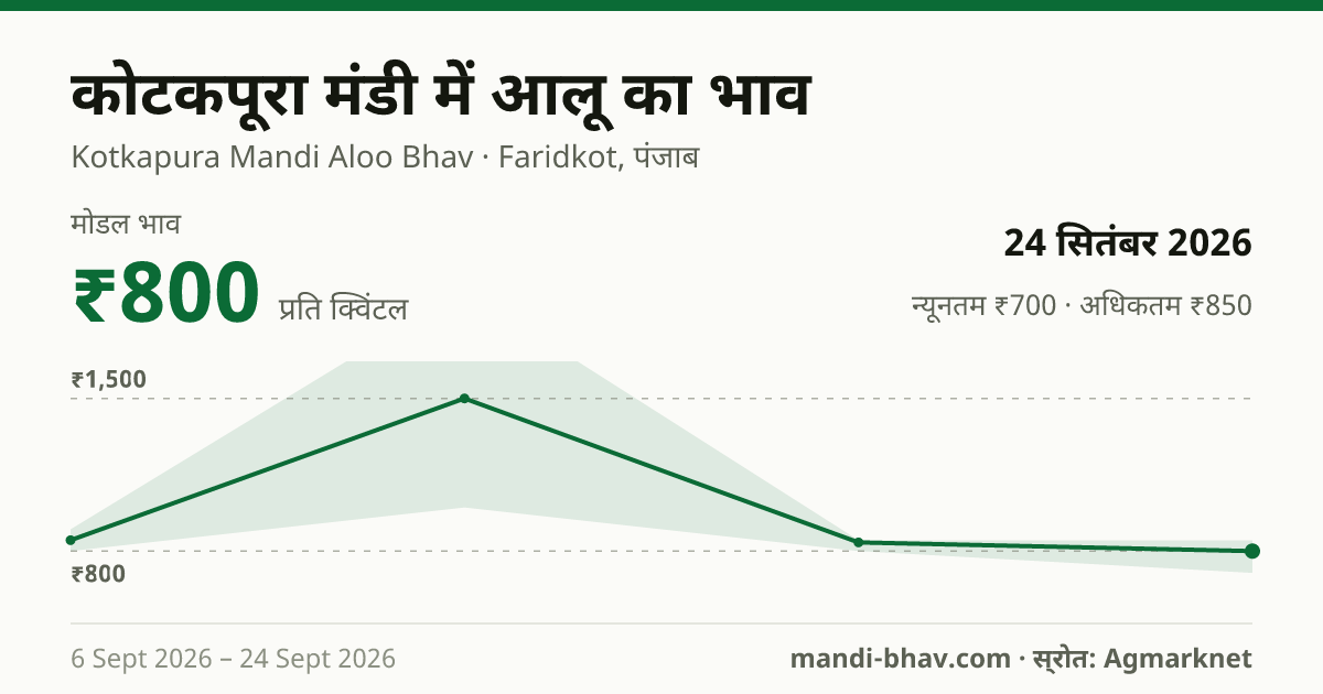 कोटकपूरा मंडी में आलू का भाव 24 सितंबर 2026: मोडल ₹800 प्रति क्विंटल, भाव के रुझान का चार्ट