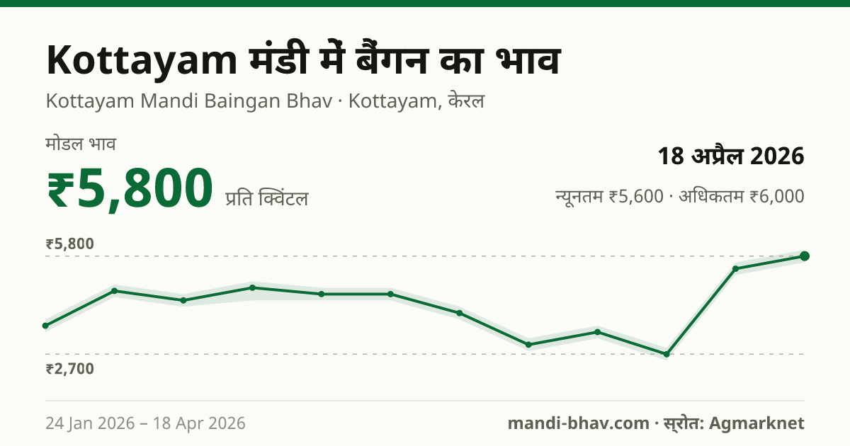 Kottayam मंडी में बैंगन का भाव 18 अप्रैल 2026: मोडल ₹5,800 प्रति क्विंटल, भाव के रुझान का चार्ट