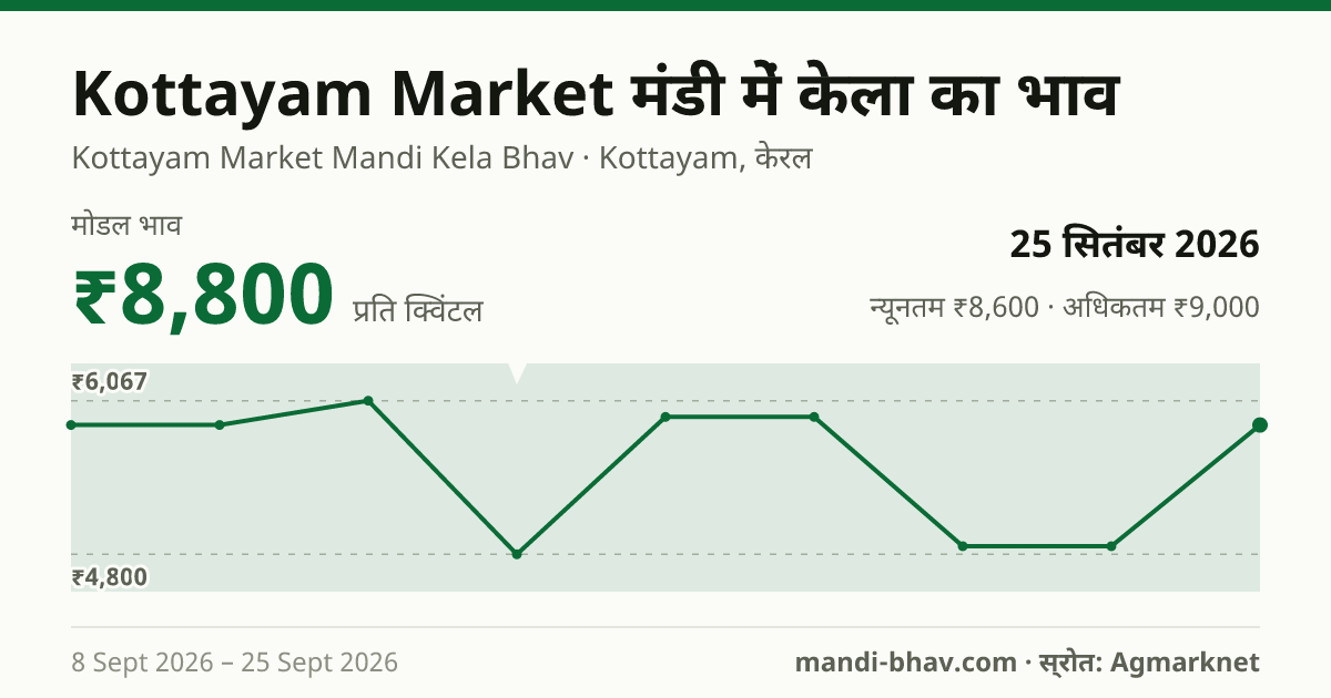 Kottayam Market मंडी में केला का भाव 25 सितंबर 2026: मोडल ₹8,800 प्रति क्विंटल, भाव के रुझान का चार्ट
