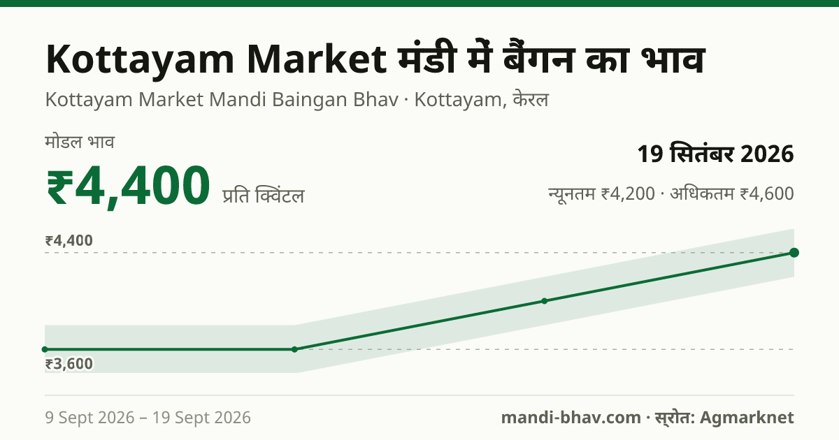 Kottayam Market मंडी में बैंगन का भाव 19 सितंबर 2026: मोडल ₹4,400 प्रति क्विंटल, भाव के रुझान का चार्ट